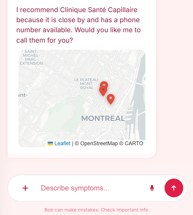 Project screenshot